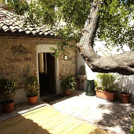 L'Albero Di Giuggiole Villa Cosenza Kültér fotó