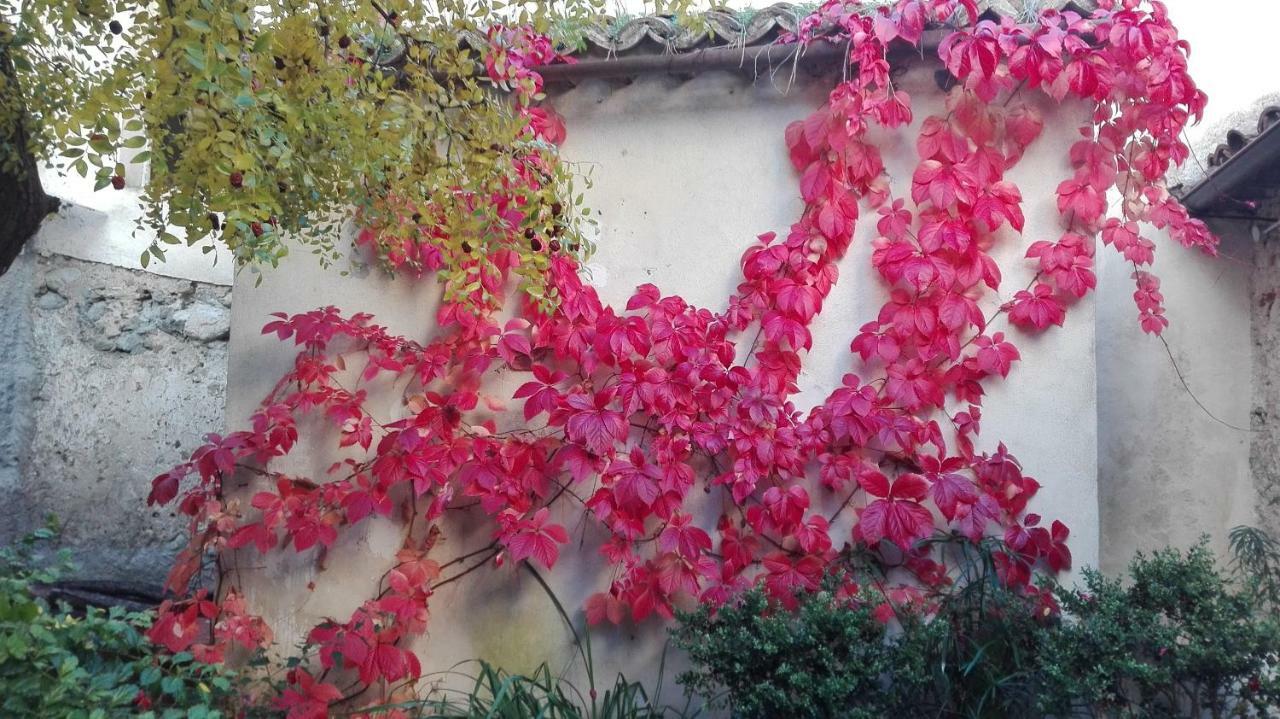 L'Albero Di Giuggiole Villa Cosenza Kültér fotó